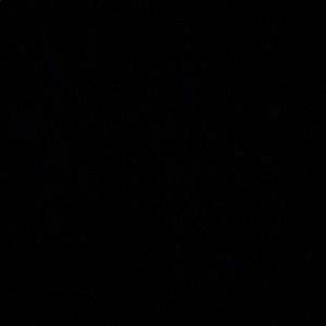 Meet your Posher, Lily